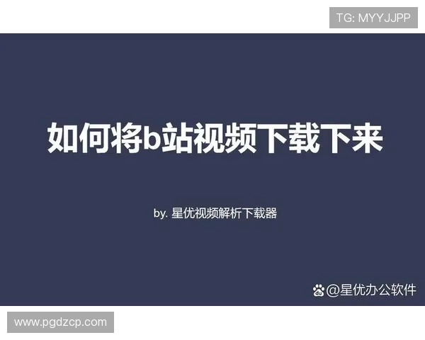 PG官网APP官方免费下载渠道，详细步骤解析确保用户安全快速安装